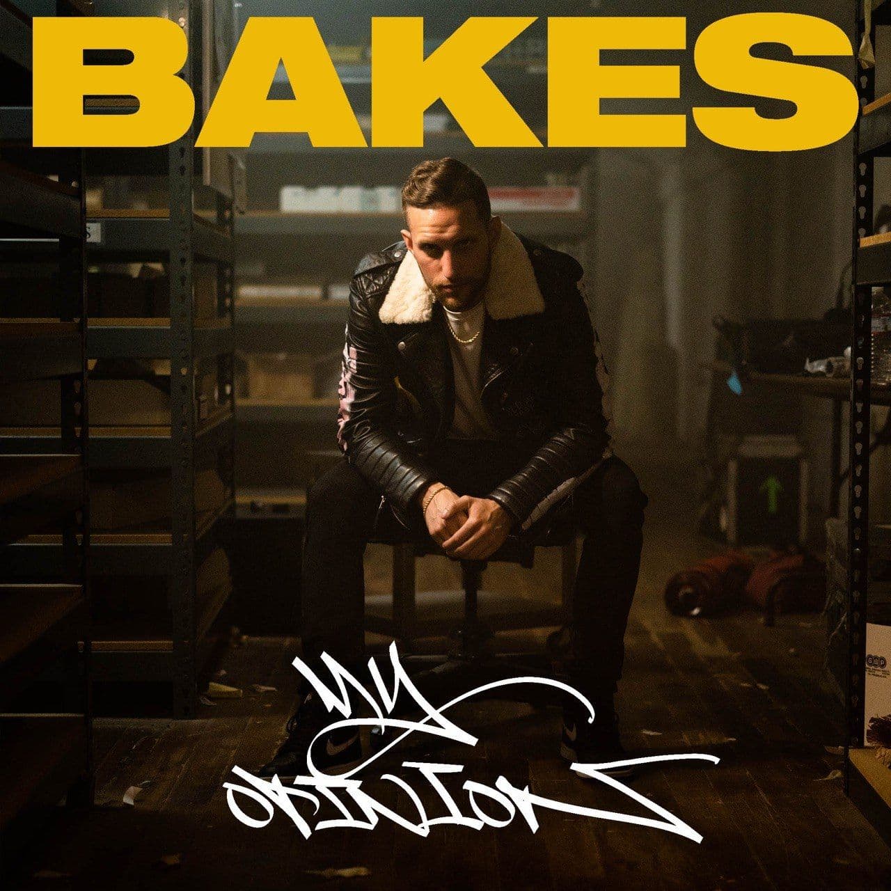 My Opinion by Bakes, cover art